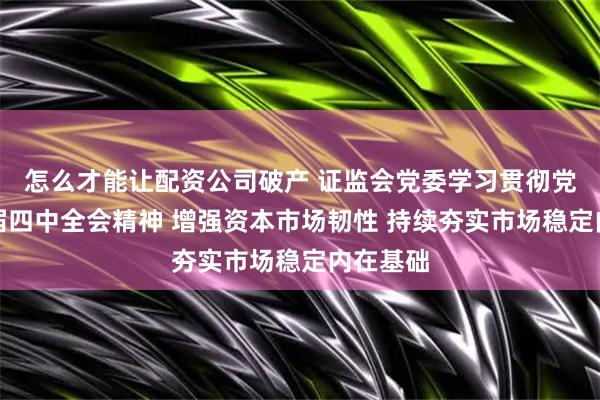 怎么才能让配资公司破产 证监会党委学习贯彻党的二十届四中全会精神 增强资本市场韧性 持续夯实市场稳定内在基础