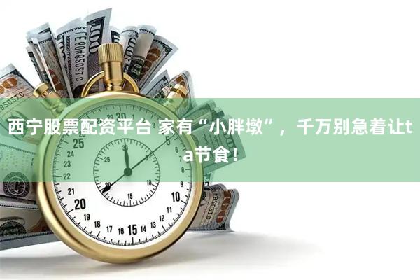 西宁股票配资平台 家有“小胖墩”，千万别急着让ta节食！
