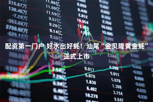 配资第一门户 好水出好蚝！汕尾“金贝隆黄金蚝”正式上市